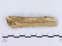 登錄號:F0008742藏品圖，第4張