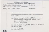 登錄號:F0008742藏品圖，第5張