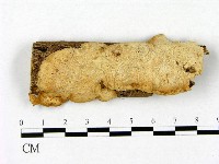 登錄號:F0008743藏品圖，第1張