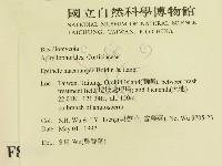 登錄號:F0008746藏品圖，第2張