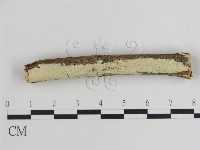 登錄號:F0008746藏品圖，第1張