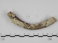 登錄號:F0008749藏品圖，第1張