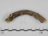 登錄號:F0008749藏品圖，第3張
