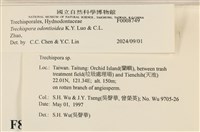 登錄號:F0008749藏品圖，第4張