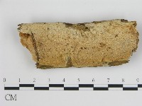 登錄號:F0008750藏品圖，第1張