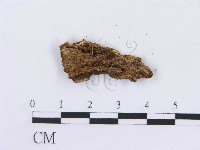 登錄號:F0008751藏品圖，第3張