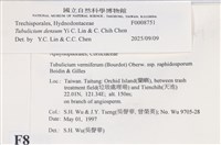 登錄號:F0008751藏品圖，第4張