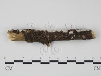 登錄號:F0008752藏品圖，第3張