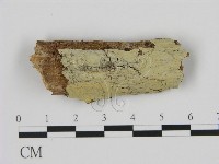 登錄號:F0008753藏品圖，第1張