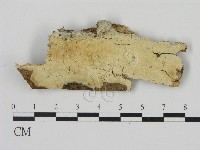 登錄號:F0008754藏品圖，第1張