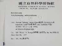 登錄號:F0008755藏品圖，第2張