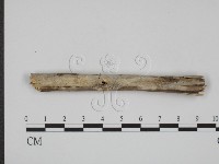 登錄號:F0008755藏品圖，第1張