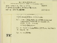 登錄號:F0008756藏品圖，第2張