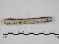 登錄號:F0008757藏品圖，第1張