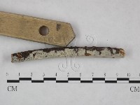 登錄號:F0008757藏品圖，第3張