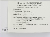 登錄號:F0008758藏品圖，第2張