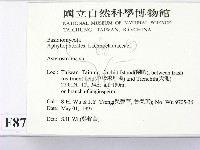 登錄號:F0008759藏品圖，第2張