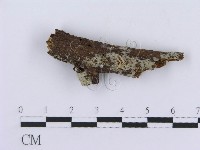 登錄號:F0008761藏品圖，第3張