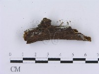 登錄號:F0008761藏品圖，第5張