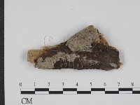 登錄號:F0008763藏品圖，第1張