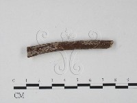 登錄號:F0008763藏品圖，第3張