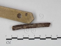 登錄號:F0008763藏品圖，第4張