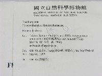 刺革菌屬藏品圖，第2張