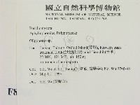 寡孔菌屬藏品圖，第2張