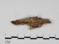 登錄號:F0008767藏品圖，第1張