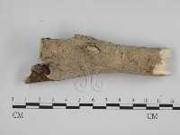 登錄號:F0008769藏品圖，第3張