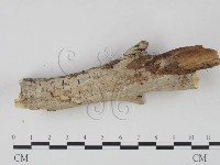 登錄號:F0008769藏品圖，第4張