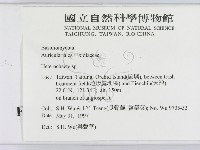 刺皮菌屬藏品圖，第2張