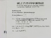 刺革菌屬藏品圖，第2張