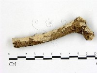 登錄號:F0008773藏品圖，第1張