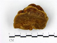 登錄號:F0008776藏品圖，第3張