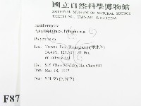 多孔菌屬藏品圖，第2張