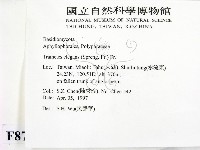 登錄號:F0008781藏品圖，第2張