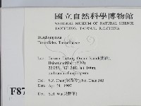 登錄號:F0008782藏品圖，第2張