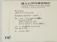 血紅密孔菌藏品圖，第2張