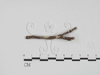 登錄號:F0008784藏品圖，第1張
