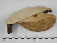 登錄號:F0008785藏品圖，第3張