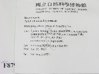 相鄰小孔菌藏品圖，第2張