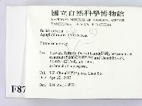 顯絲菌屬藏品圖，第2張
