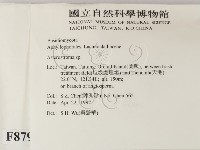 登錄號:F0008794藏品圖，第2張