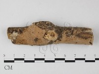 登錄號:F0008794藏品圖，第1張