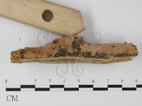 登錄號:F0008794藏品圖，第3張