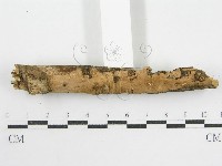 登錄號:F0008794藏品圖，第5張