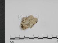 登錄號:F0008795藏品圖，第1張