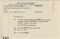 登錄號:F0008795藏品圖，第3張