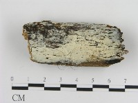 登錄號:F0008797藏品圖，第1張